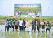 Tinjau Pabrik Kilang Padi di Rokan Baru, Wabup Rohil Dorong Revitalisasi dan Penguatan Sektor Pertanian