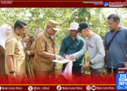Bupati Rohul Tinjau Lokasi Pembangunan Sekolah Rakyat di Kubu Manggis
