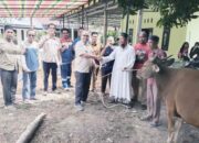 PT TGI Salurkan 11 Ekor Sapi Qurban di Jalur Pipa Gas, Wujud Komitmen CSR untuk Masyarakat