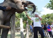 Kapolda Riau Kunjungi Taman Nasional Tesso Nilo, Serukan Perlindungan Gajah dan Lingkungan dalam Rangka Hari Bhayangkara ke-79