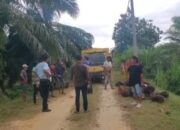 Sengketa Lahan di Cindur Desa Torganda Memanas, Kelompok Tani Tiur Ganda Klaim Pihak yang Sah Ajukan Kemitraan ke PT Torganda