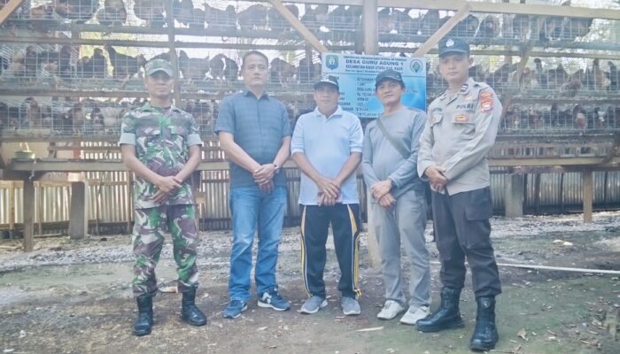 Tripika Kaur Utara Tinjau Ketahanan Pangan Guru Agung I