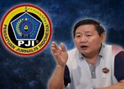Ketua Umum PJI: Negara Harus Tegas Terapkan TPPU dan Cabut Izin Pembalak Liar