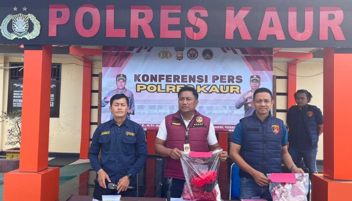 Polres Kaur Ungkap Kasus Ayah Tiri Perkosa Anak Umur 12 Tahun