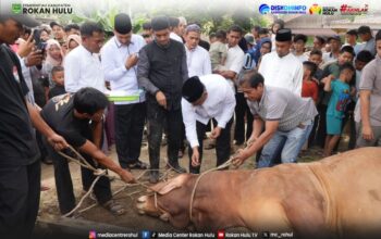 Tak Sekadar Ritual, Qurban di Rokan Hulu Perkuat Kepedulian Sosial dan Persatuan