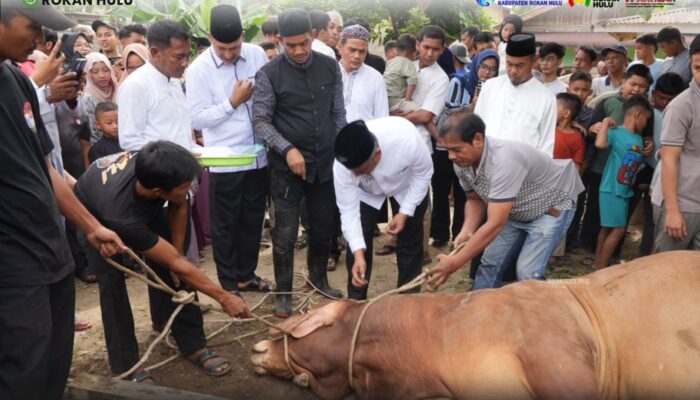 Tak Sekadar Ritual, Qurban di Rokan Hulu Perkuat Kepedulian Sosial dan Persatuan