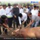 Tak Sekadar Ritual, Qurban di Rokan Hulu Perkuat Kepedulian Sosial dan Persatuan