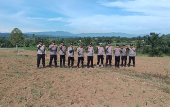 Kapolsek Rambah Cek Pertumbuhan Jagung Hibrida Asta Cita Ketahanan Pangan