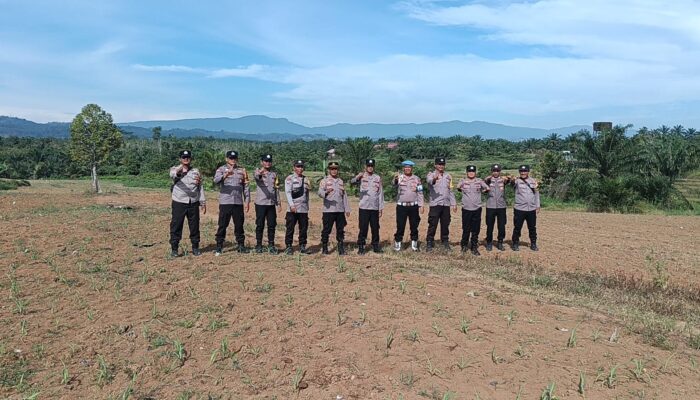 Kapolsek Rambah Cek Pertumbuhan Jagung Hibrida Asta Cita Ketahanan Pangan