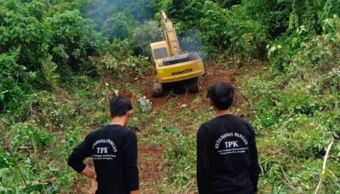 Pemdes Penandingan Laksanakan Pembukaan Lahan Pertanian Ketahanan Pangan Tahun  2025