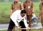 Bupati Zukri Pimpin Penanaman Bibit Pohon Aren di Pangkalan Kerinci