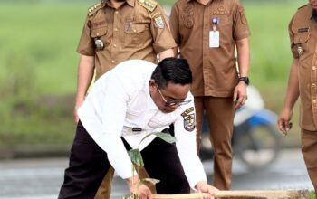 Bupati Zukri Pimpin Penanaman Bibit Pohon Aren di Pangkalan Kerinci
