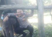 Lisa Adik Domang Melahirkan, Kapolda Riau Beri Nama “Nona Seroja”