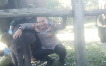 Lisa Adik Domang Melahirkan, Kapolda Riau Beri Nama “Nona Seroja”