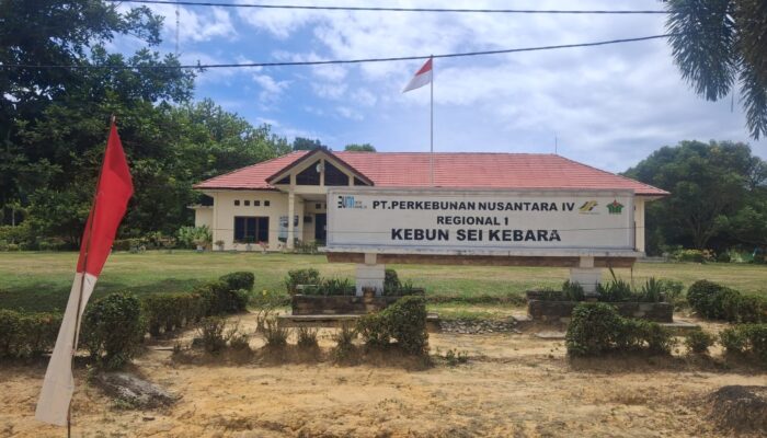 Tepis Pemberitaan APD Berbayar, PTPN IV Kebun Sei Kebara Tegaskan Karyawan Bebas Memilih Tempat Pembuatan Kacamata Resep