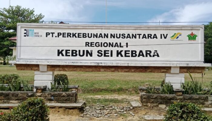 Bantah Isu Potongan Upah, PTPN IV Kebun Sei Kebara Tegaskan Kacamata Rp700 Ribu Ditanggung Perusahaan