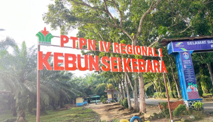 Bantah Pekerja Dibebani Biaya Kacamata, APK Kebun Sei Kebara: Karyawan Bebas Pilih Optik
