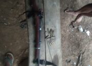 Warga Serahkan Senpi Rakitan dan 14 Butir Amunisi Secara Sukarela ke Polres Kaur