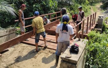 Pemdes Pelajaran 2 Bangun Jalan Usaha Tani Rabat Beton 115 Meter dan Perbaiki Jembatan: Permudah Akses Pertanian dan Tingkatkan Kesejahteraan Masyarakat
