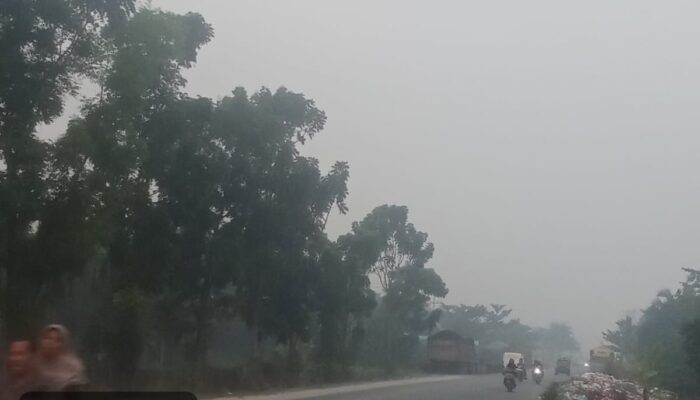 Polsek Siak Hulu Beri Klarifikasi, Aktivitas Bongkar Muat Cangkang Sawit Disebut Masuk Wilayah Hukum Polsek Tambang