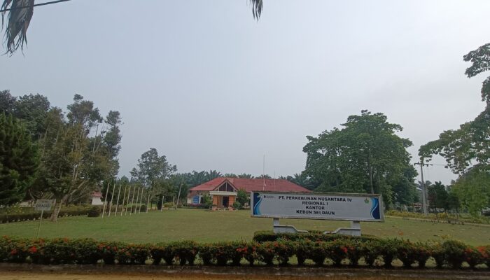 Kebun Sei Daun Tegaskan SMK3 Dijalankan, Keluarga Korban Mendapat Pendampingan dan Hak Sesuai Ketentuan