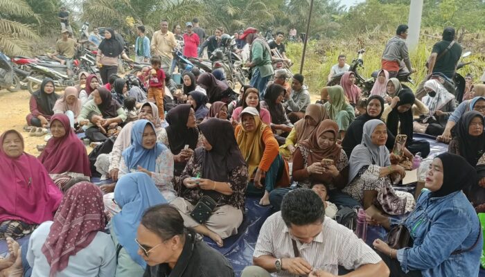 1500 Warga Turun ke PT Serikat Putra, Tuntut Hak Kemitraan 20 Persen
